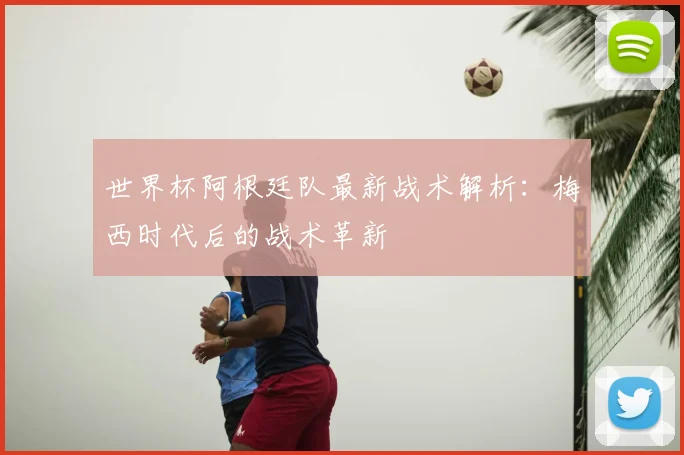 世界杯阿根廷队最新战术解析:梅西时代后的战术革新