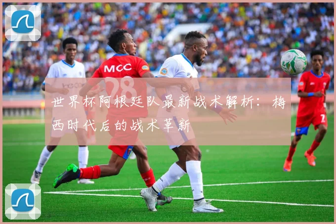 世界杯阿根廷队最新战术解析：梅西时代后的战术革新